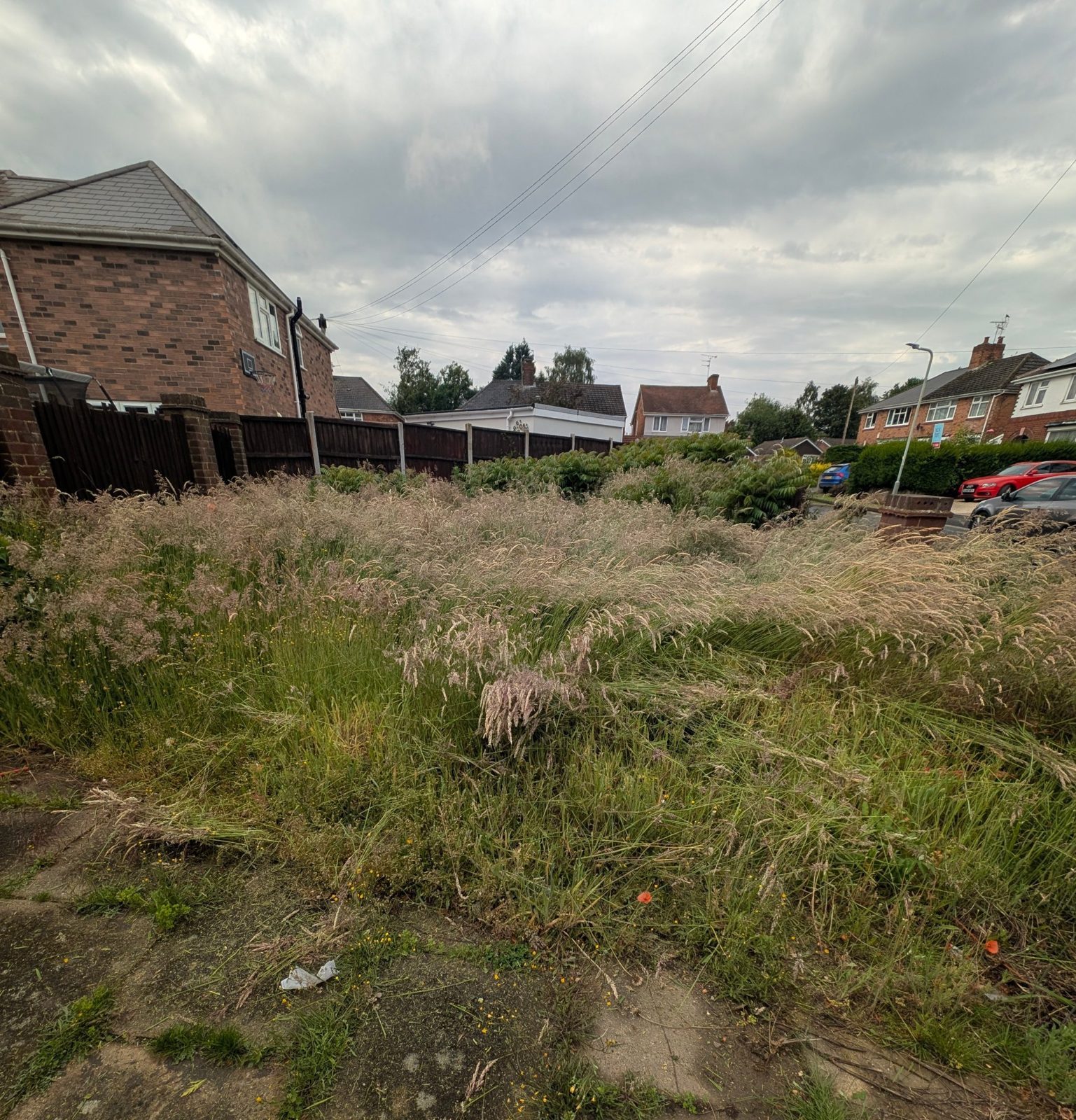 Front garden in Penn before work, with waist-high overgrown grass