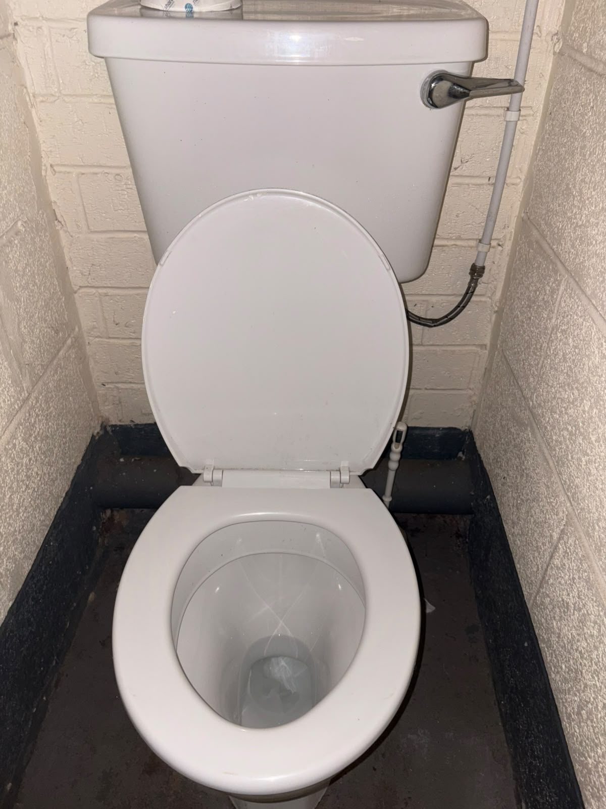 Cleaned toilet in a permanent toilet block